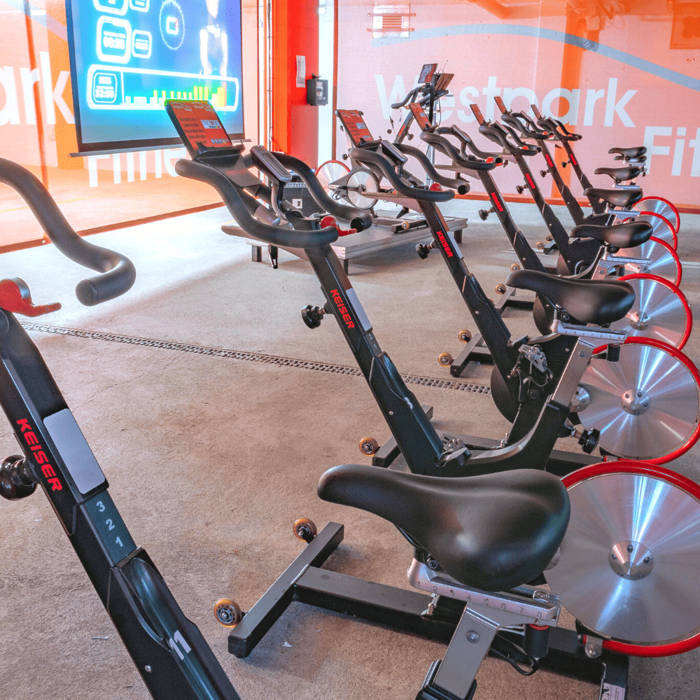 empty spin bikes in a gym