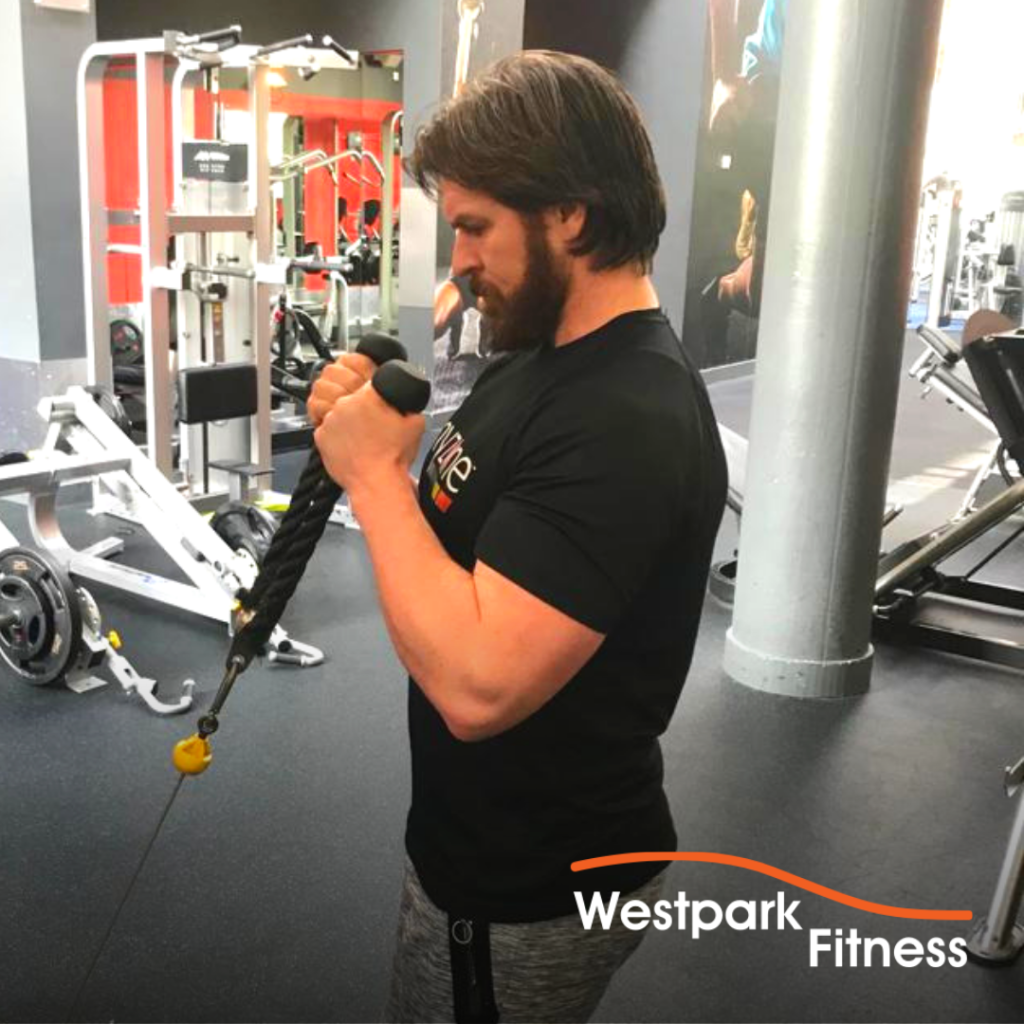 bicep cable curl exercise of the week westpark fitness tallaght dublin 24