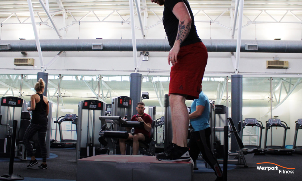 box jump exericse at westpark fitness