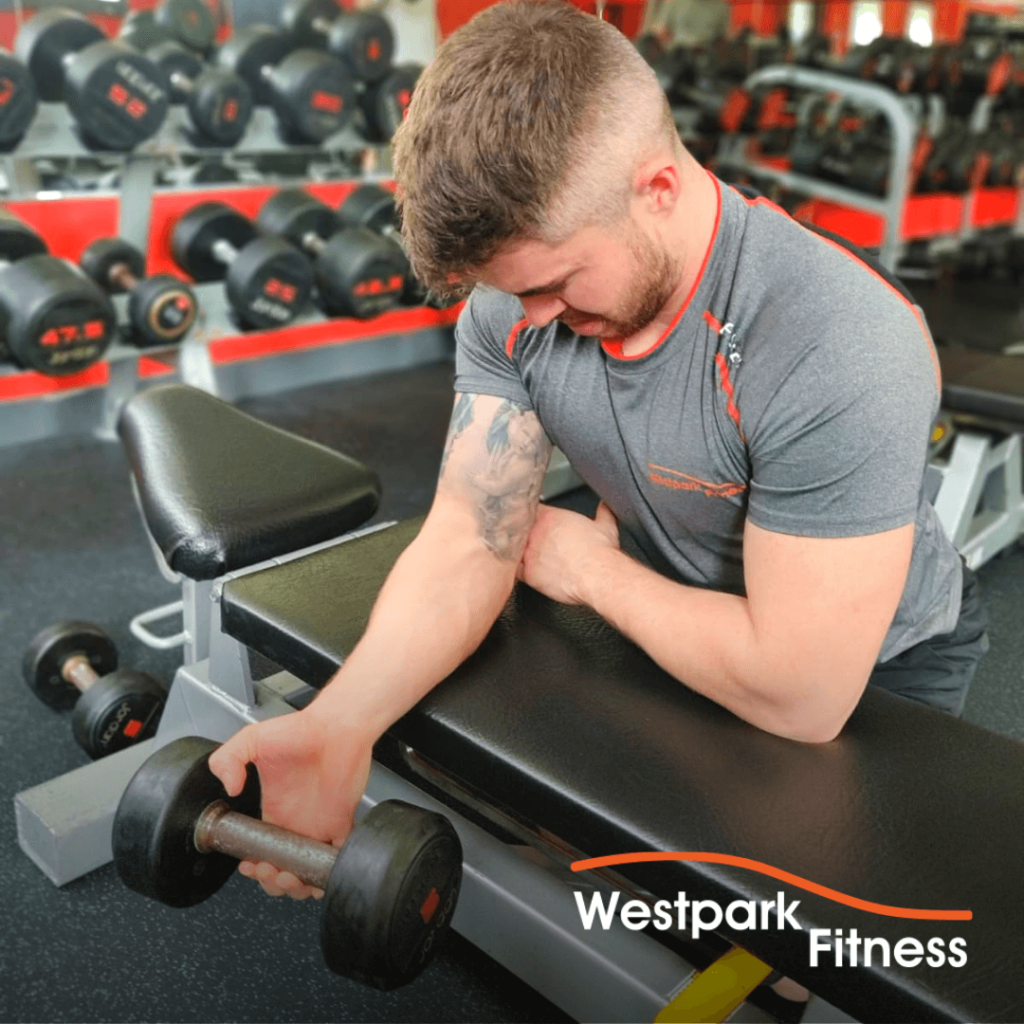 compund and isolation exercises westpark fitness