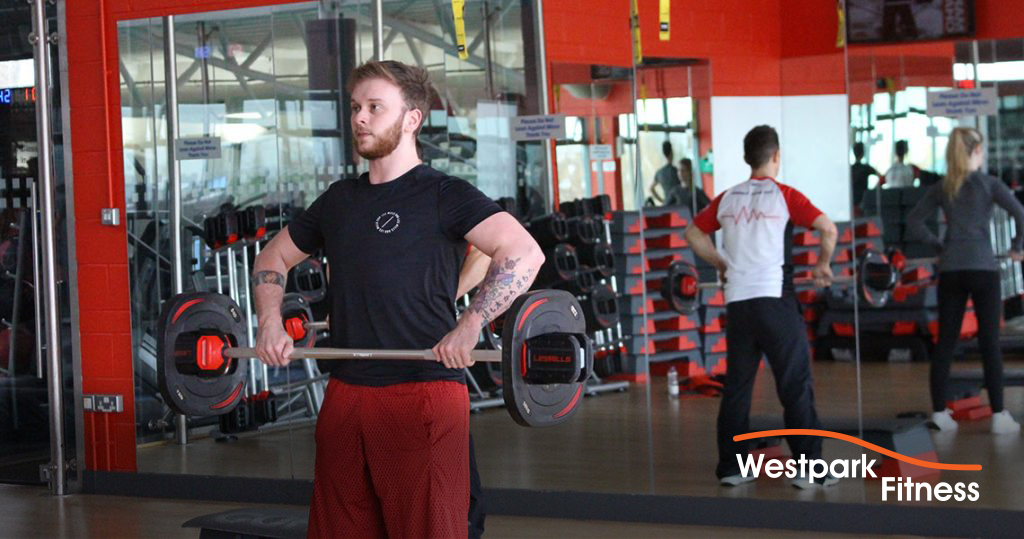 grip and forearm builder westpark fitness