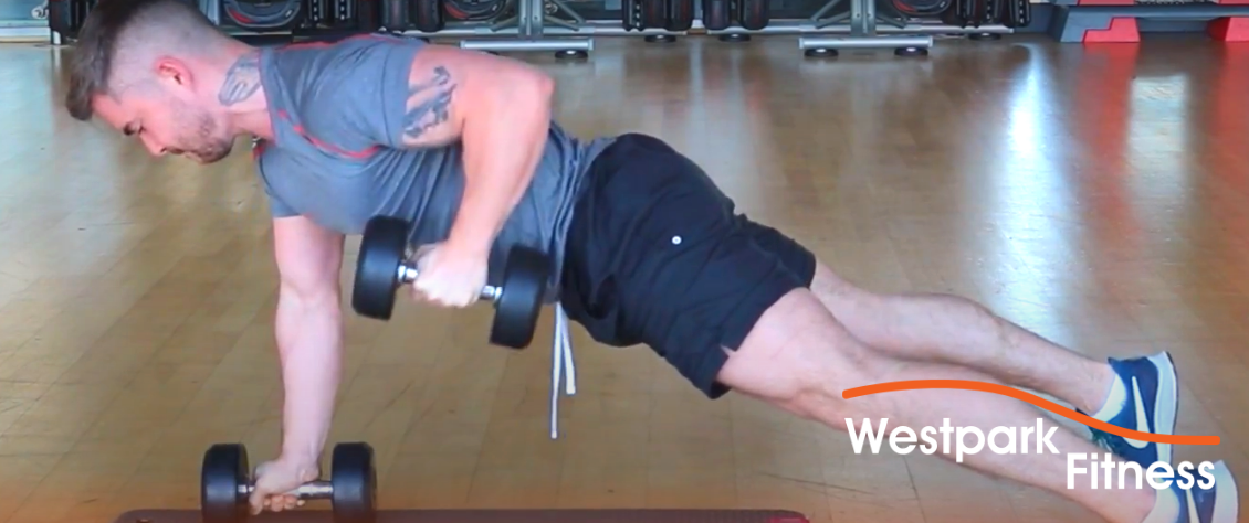 westpark fitness renegade row exercise showing a male gym goer lying on a gym mat holding one dumbbell at a right angle